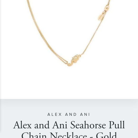 Alex and Ani Seahorse Necklace - Picture 10 of 11